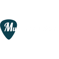 Musiker sucht Bühne