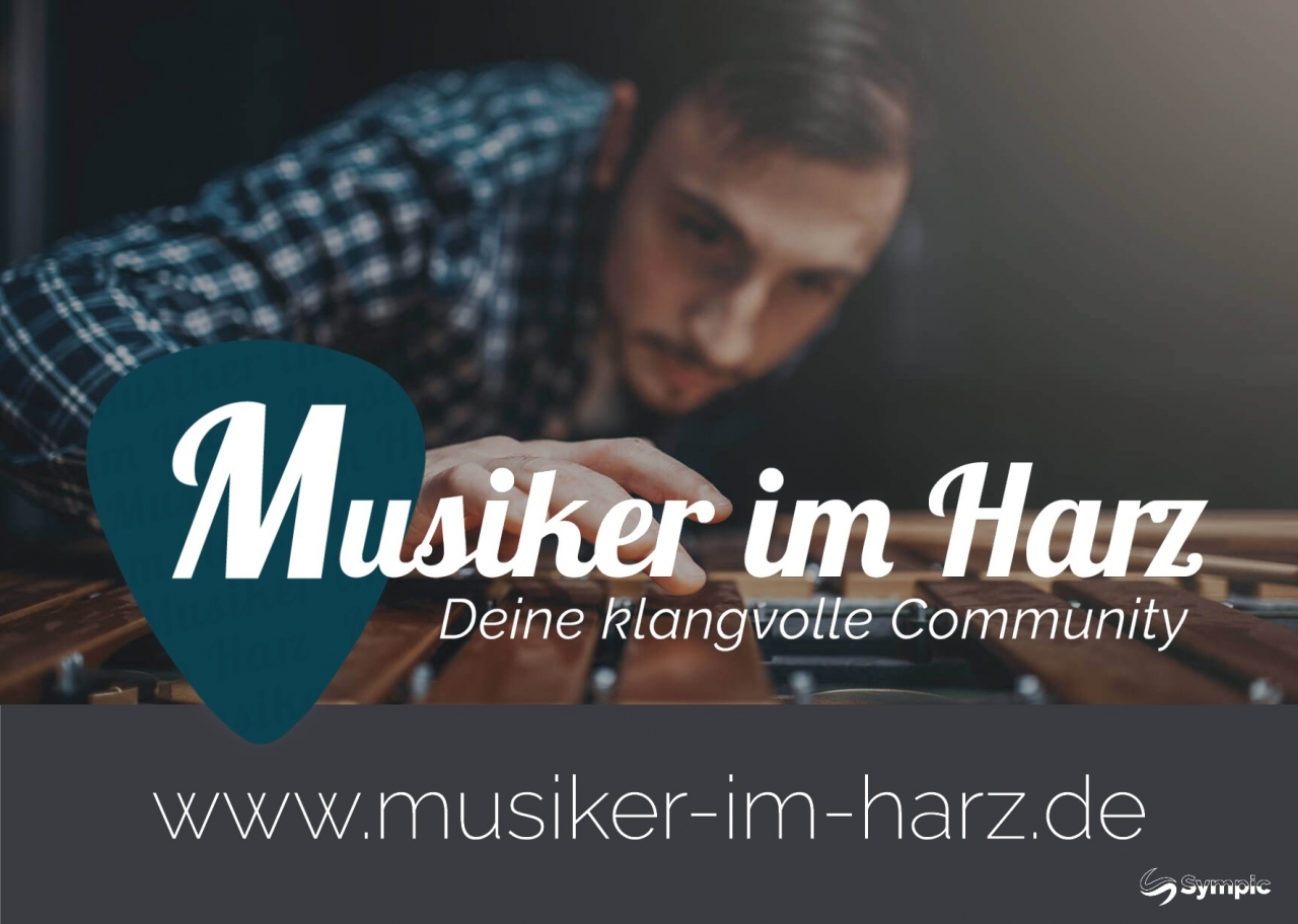 Musiker im Harz Flyer2